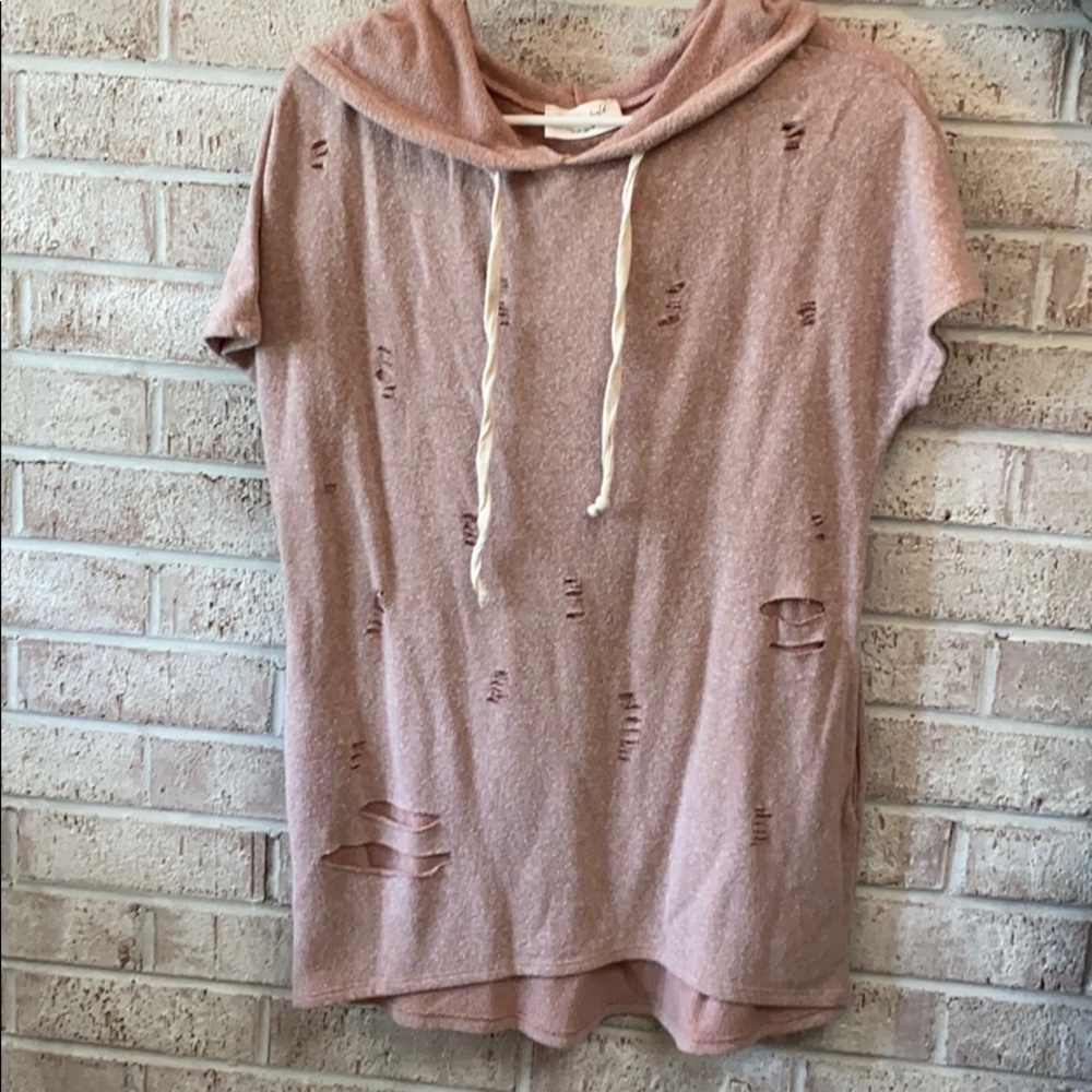 Lavender fields top